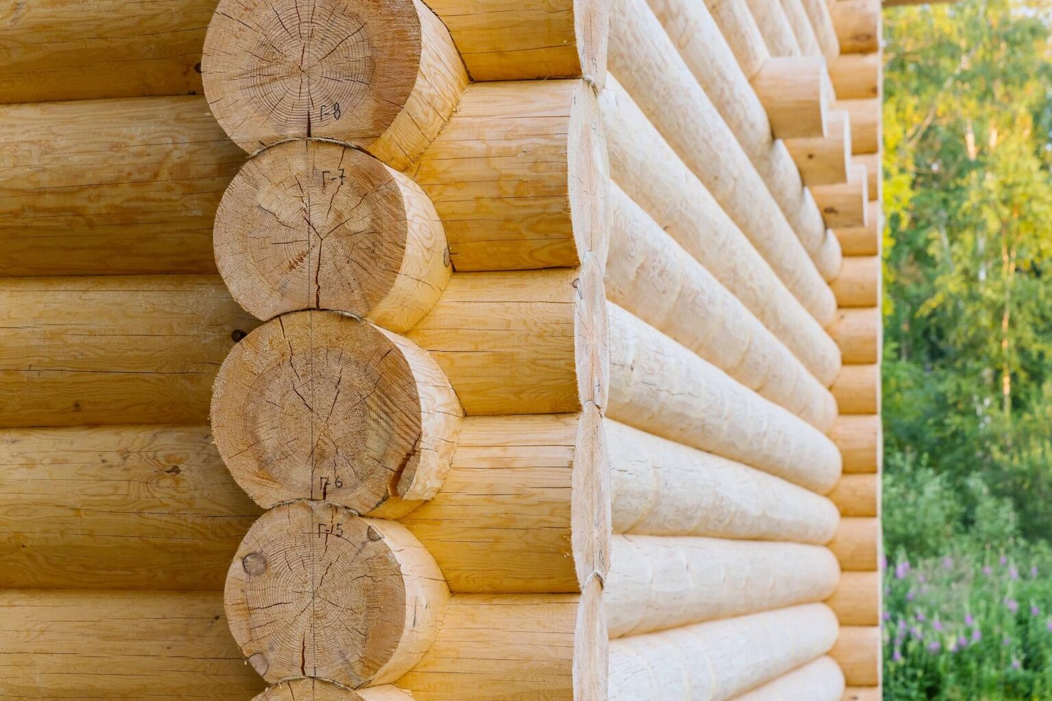 Die richtige Holzauswahl für Ihr Blockhaus